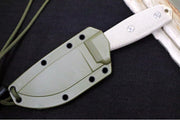 Esee Knives Model 3 - Tan Canvas Micarta Handle / 1095 Steel / Tan Textured Powdered Blade / OD Green Molded Polymer Sheath 3P-DT - Northwest Knives