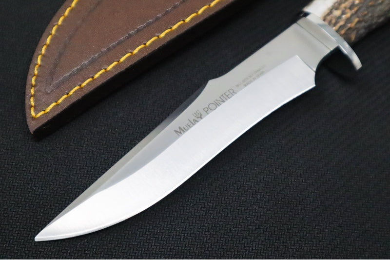 Muela Knives Pointer-13A Fixed Blade - Genuine Stag Handle / X50CrMoV15 Stainless Blade / Brown Leather Sheath