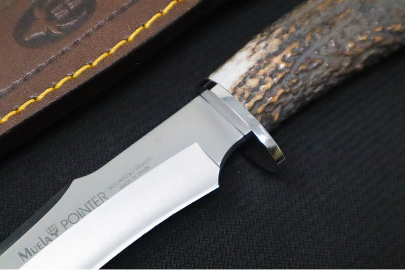 Muela Knives Pointer-13A Fixed Blade - Genuine Stag Handle / X50CrMoV15 Stainless Blade / Brown Leather Sheath