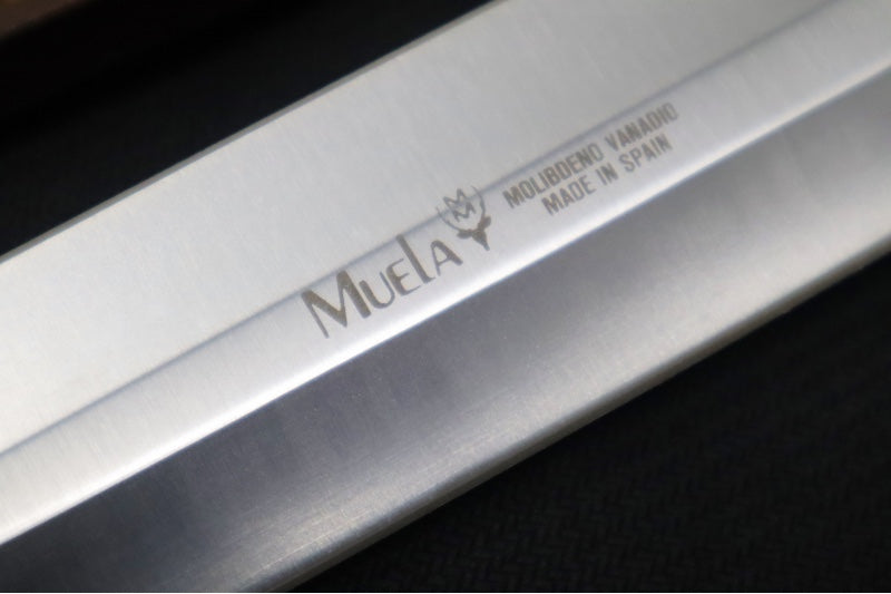 Muela Knives Vikingo-23A Fixed Blade - Stag Horn Handle / X50CrMoV15 Stainless Blade / Leather Sheath