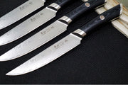 Cangshan Cutlery KURO Series 4pc Steak Knife Set - Forged X-7 Damascus 504326 - Northwest Knives