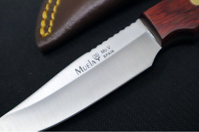 Muela Knives LM-8R Fixed Blade - Pakkawood Stabilized Handle / Satin 50CrMoV15 Stainless Blade / Leather Sheath - Northwest Knives
