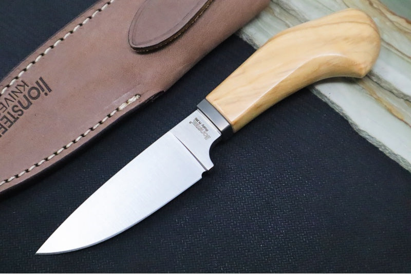 Lionsteel Willy Fixed Blade - Santos Wood Handle / M390 Steel Steel / Leather Sheath WL1UL - Northwest Knives