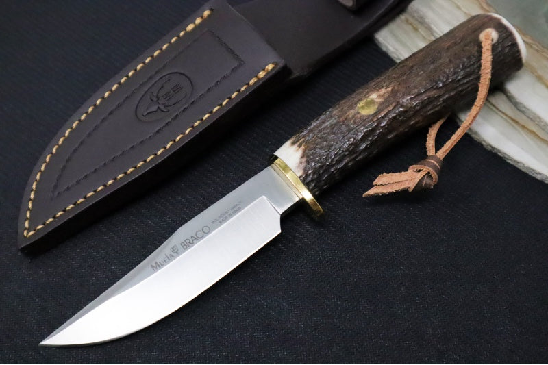 Muela Knives Braco-11A Fixed Blade - Stag Handle / MOVA (X50CrMoV15) Blade / Leather Sheath