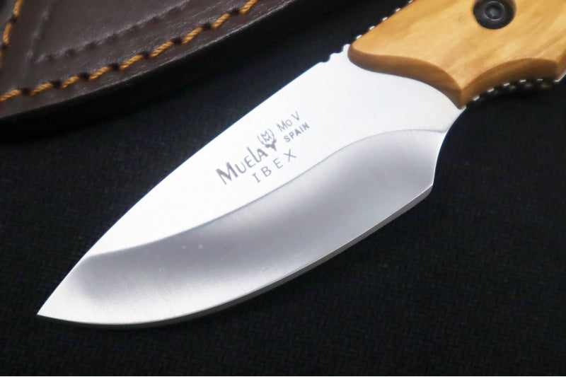 Muela Knives IBEX-8.OL Fixed Blade - Olive Wood Handle / X50CrMoV15 Stainless Blade / Leather Sheath