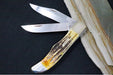 Garage Sale Case 6.5 Bonestag Folding Hunter - Stag Bone Handle / Satin Stainless Blades / Brown Leather Sheath 03574 - Northwest Knives