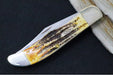 Garage Sale Case 6.5 Bonestag Folding Hunter - Stag Bone Handle / Satin Stainless Blades / Brown Leather Sheath 03574 - Northwest Knives
