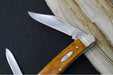 Garage Sale Case Knives Half Whittler - Tru-Sharp Stainless Steel / Smooth Antique Bone Handle 58189 - Northwest Knives