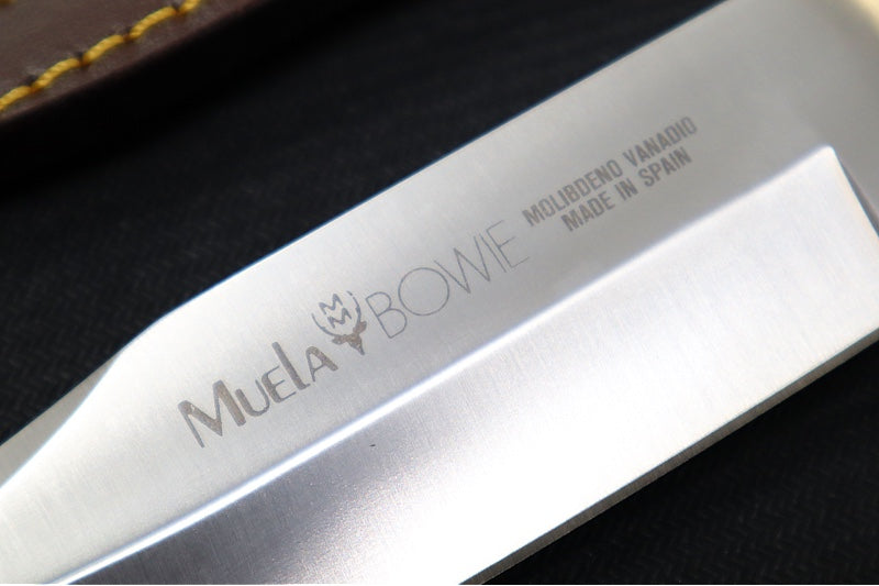 Muela Knives BW-CLASSIC-16M Fixed Blade - Micarta Handle / X50CrMoV15 Stainless Steel Blade / Leather Sheath - Northwest Knives