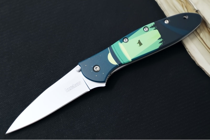 Kershaw UFO Abduction Leek Flipper - 14C28N Steel / Bead Blasted Finish / "AFO Abduction" Aluminum Handle 1660ABD