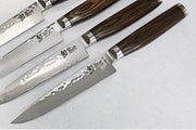 Shun Premier - 4pc Steak Knife Set - 69 Layered Damscus - Made in Seki City, Japan - Northwest Knives