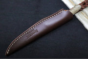 Lionsteel AG01 Fixed Blade - Green Canvas Micarta Handle & Titanium Bolsters / M390 Steel / Drop Point Blade / Brown Leather Sheath AG01CVG - Northwest Knives
