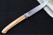 Lionsteel AG01 Fixed Blade - Olive Wood Handle & Titanium Bolsters / M390 Steel / Drop Point Blade / Brown Leather Sheath AG01UL - Northwest Knives