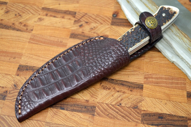 Boker Arbolito Dano Stag Fixed Blade - Stag Handle 02BA325HH