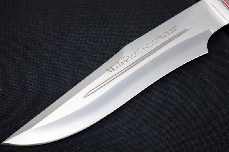Muela Knives Magnum-23.TO Fixed Blade - Staghorn Handle / X50CrMoV15 Stainless Blade / Leather Sheath - Northwest Knives